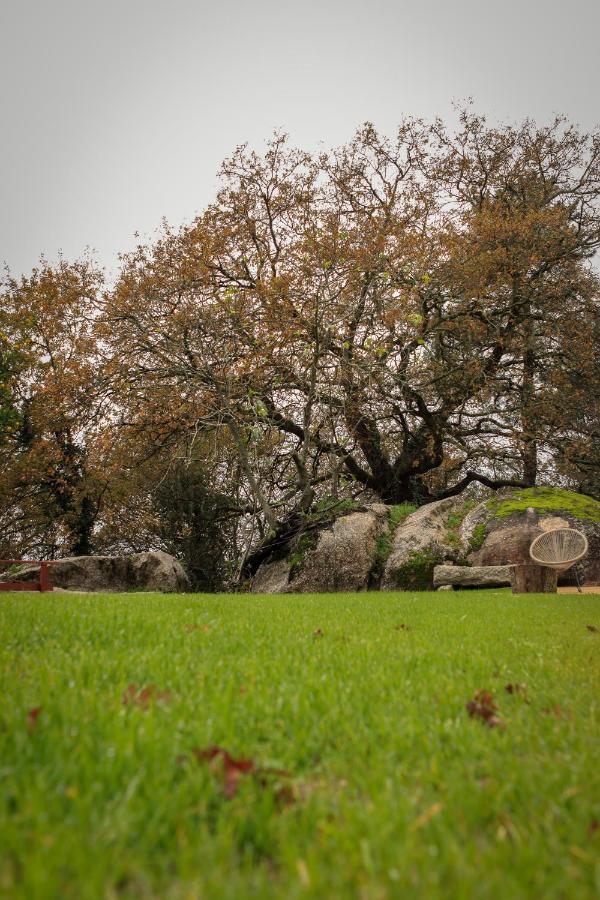 Quinta Pousada De Fora Wines & Tourism Guimarães Buitenkant foto