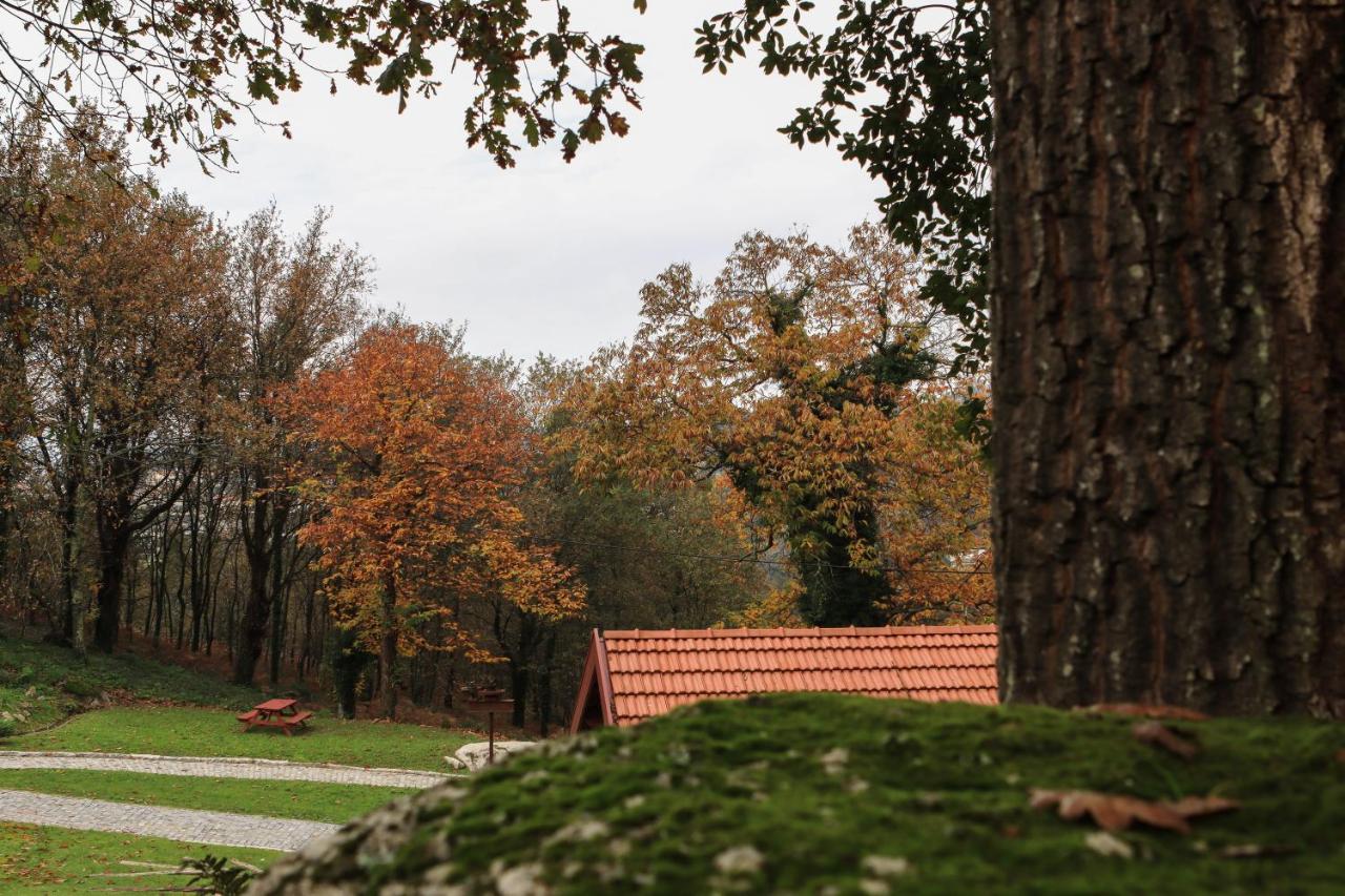 Quinta Pousada De Fora Wines & Tourism Guimarães Buitenkant foto