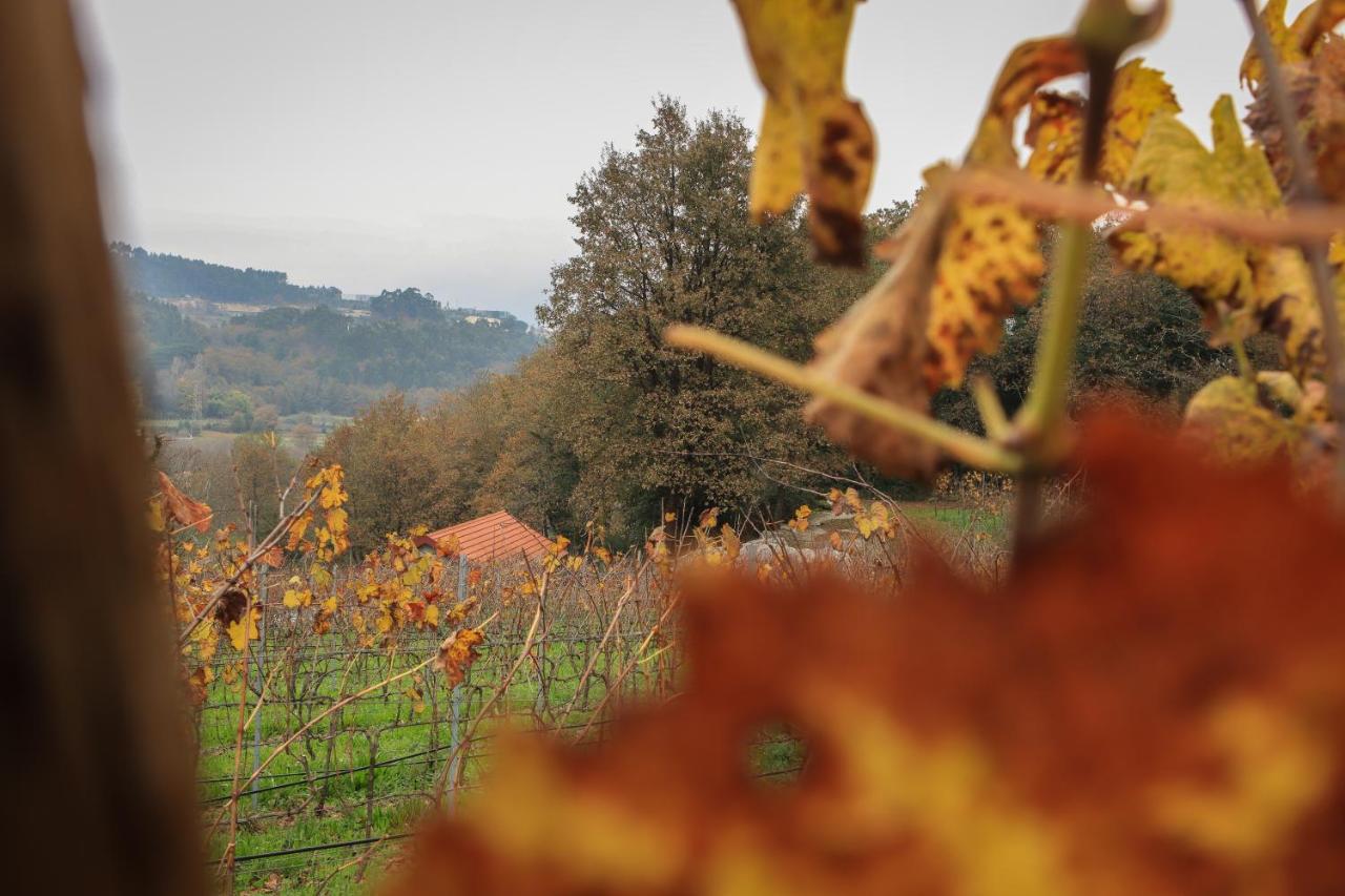 Quinta Pousada De Fora Wines & Tourism Guimarães Buitenkant foto