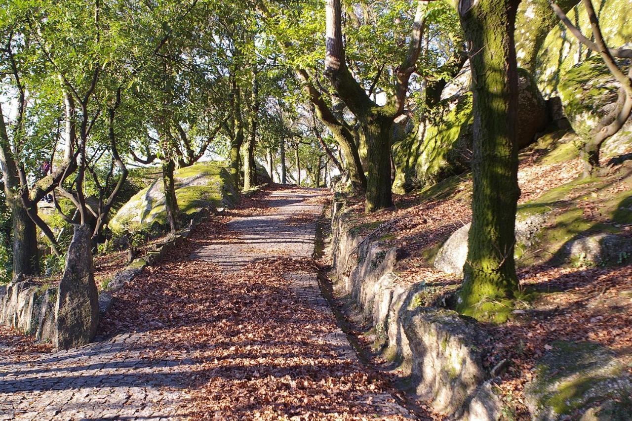 Quinta Pousada De Fora Wines & Tourism Guimarães Buitenkant foto